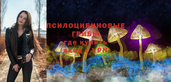 СК Михайлов