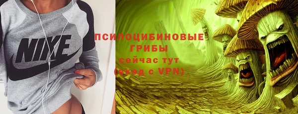 СК Михайлов