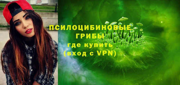 СК Михайлов